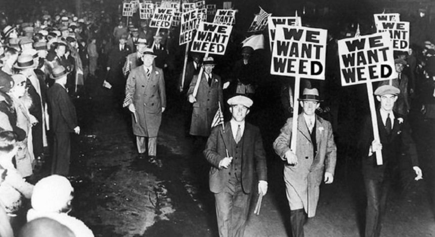 Historic cannabis protest with 'We Want Weed' signs